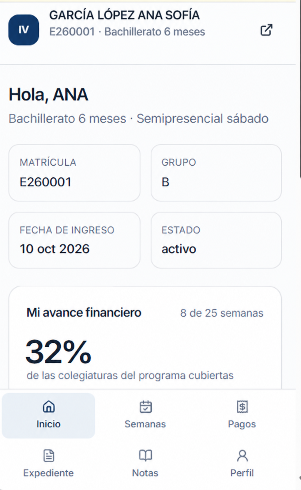 Vista del portal de alumnos: avance financiero, pagos, expediente y notas; datos ficticios de ejemplo